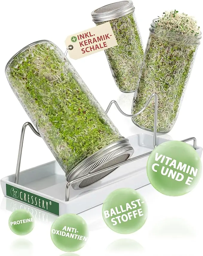 nachhaltige Keimgeräte im Test: Das Cressery 3er-Set Sprossengläser mit grauer Keramikschale auf einer Fensterbank.