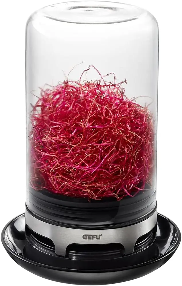 nachhaltige Keimgeräte im Test: Das GEFU BIVITA Sprossenglas aus Glas und Edelstahl mit Belüftungssystem.